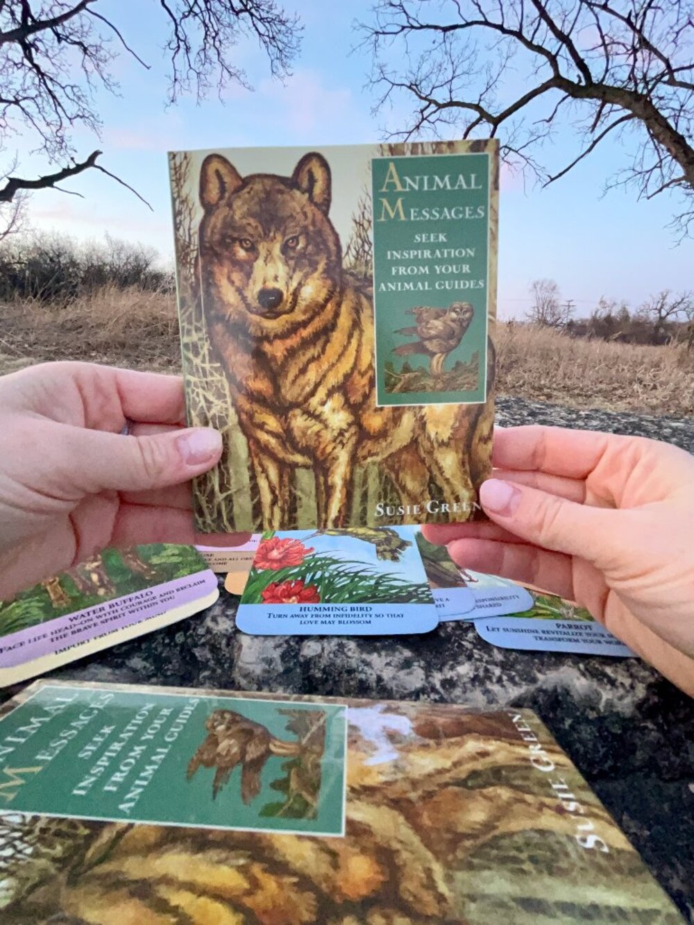 animal messages